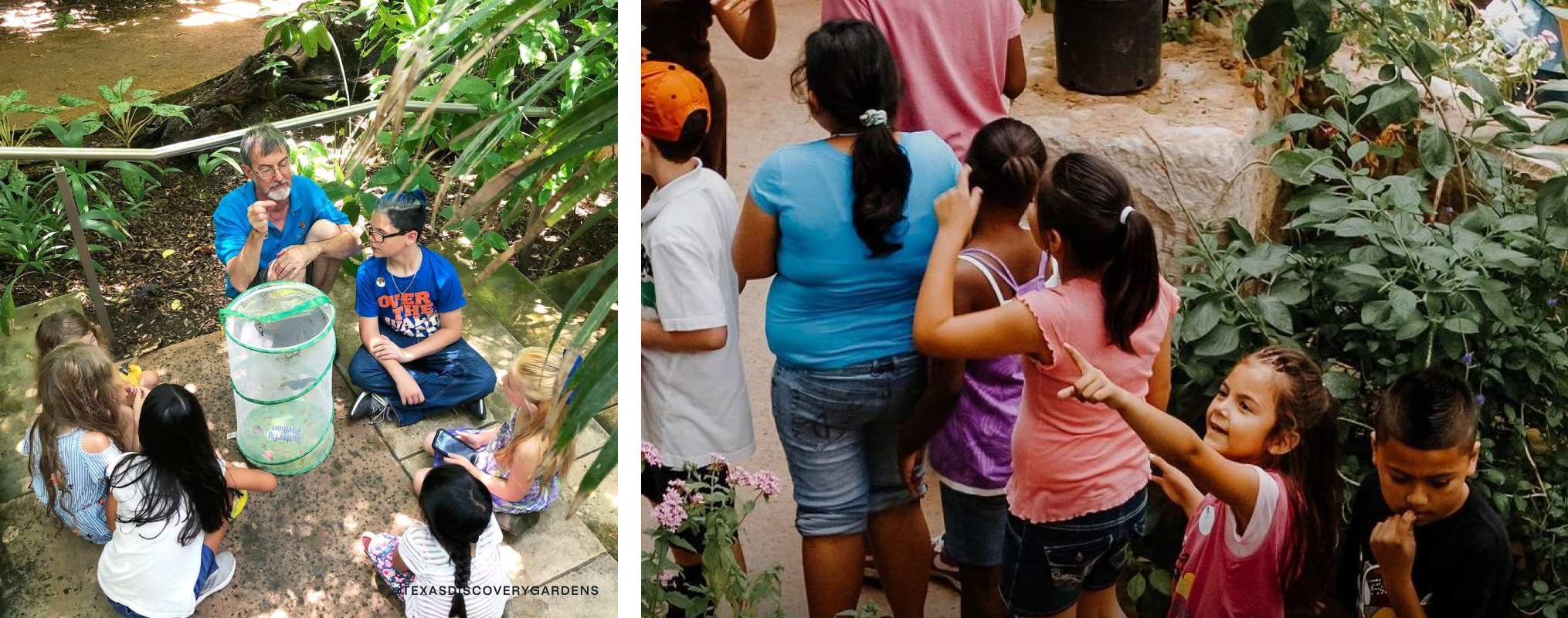 On left, a man gives a lecture to kids about butterflies. On right, a girl in a group of people points at something.