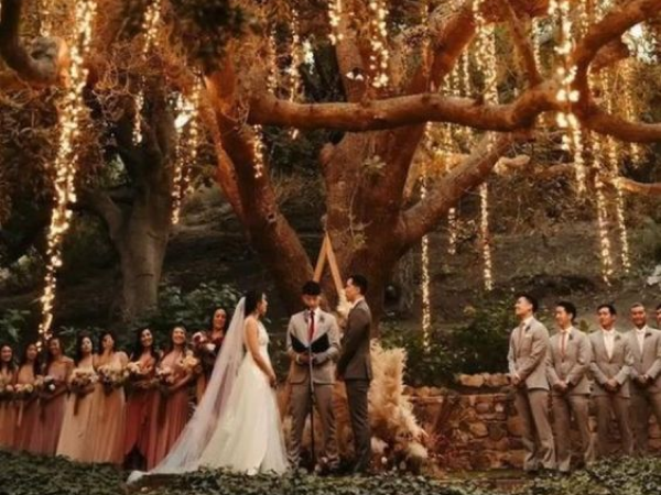 Couple getting married under a tree (image from Pinterest).