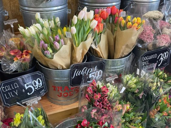 Flowers at Trader Joe's.